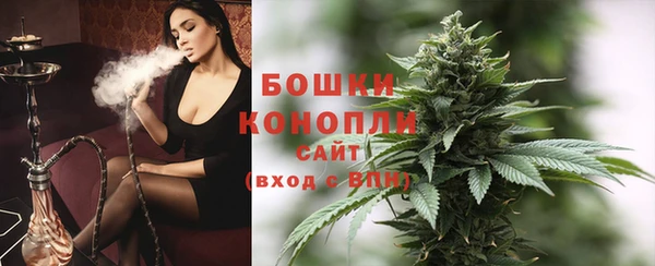 гашик Белоозёрский