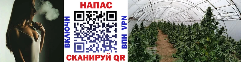 Марихуана конопля дарнет шоп Чайковский